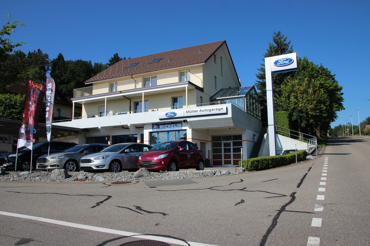 Automobil-Mechatroniker:in oder Fachmann/-frau