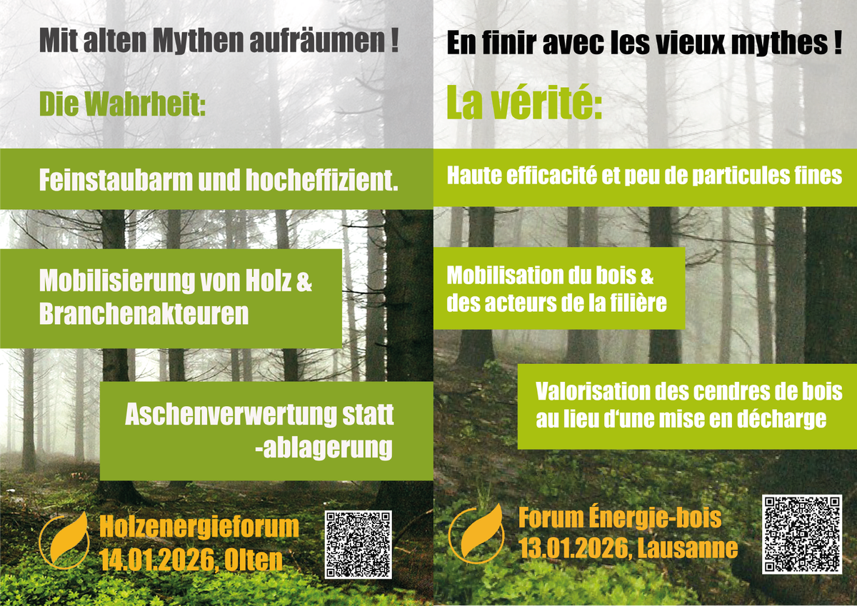 Senior Projektleiter:in Energie / HLK (80-100%)