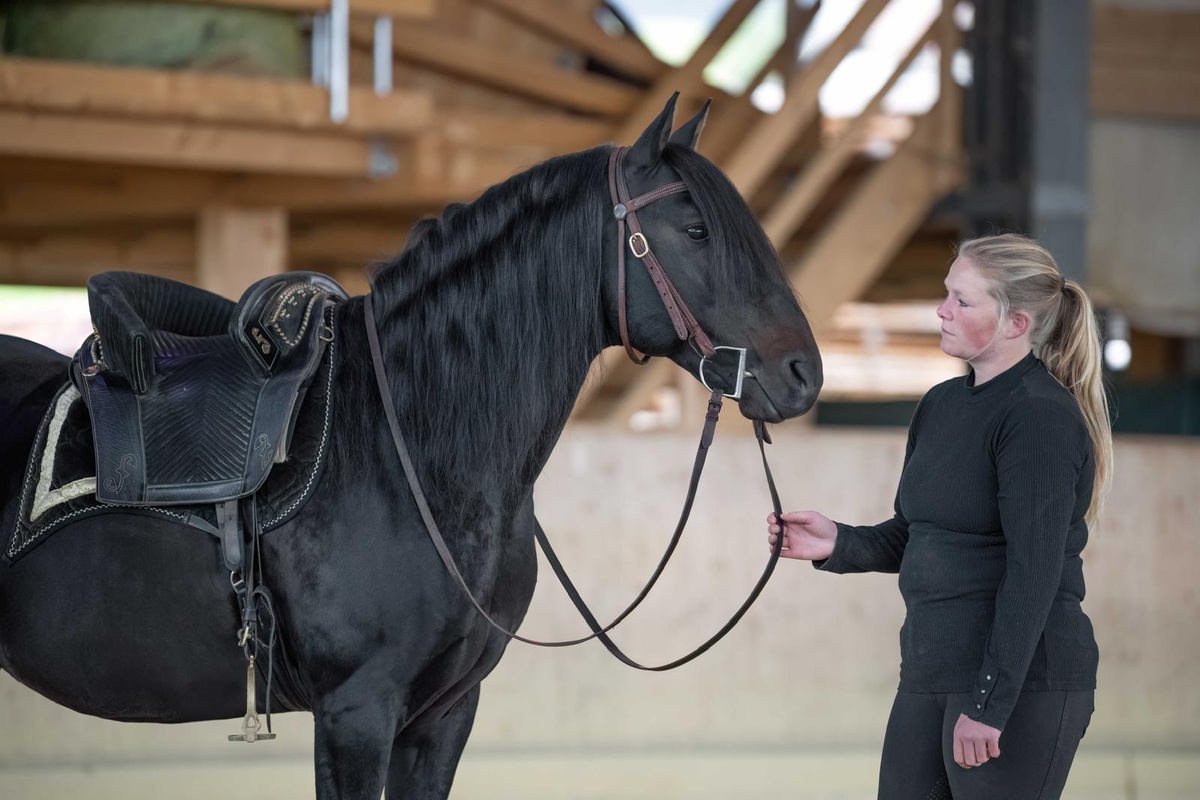 Teilzeit-Bürokraft gesucht – gegen Reitausbildung (20–50%)