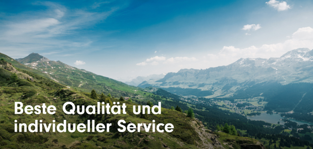 Verkauf Aussendienst Fleischhandel Chur